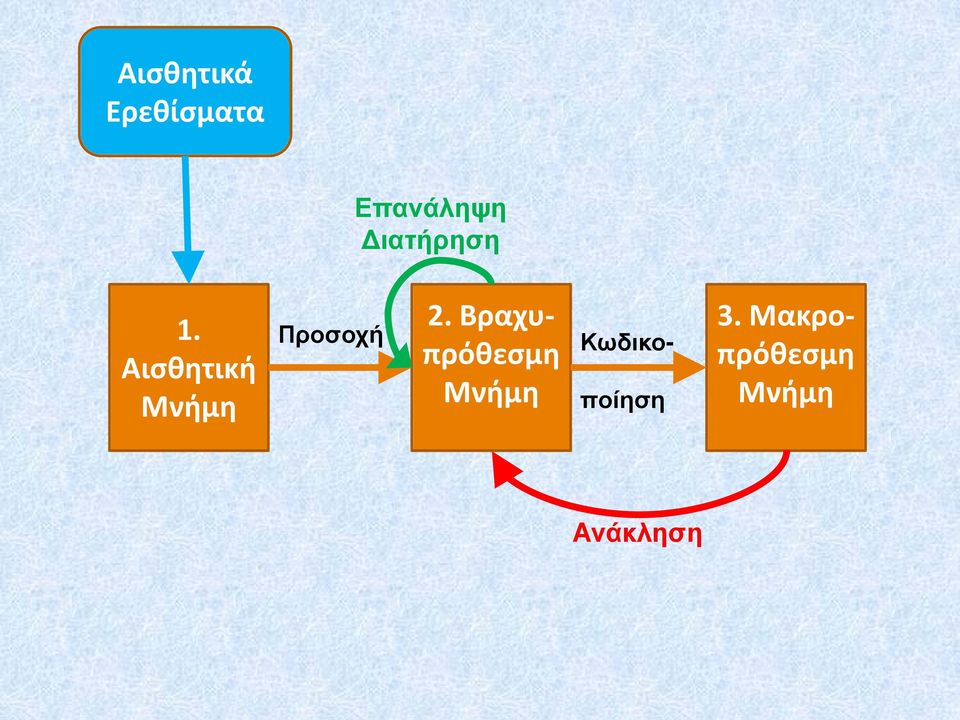 Αισθητική Μνήμη Προσοχή 2.