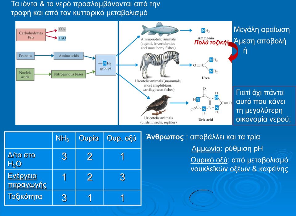 Δ/τα στο H 2 O Ενέργεια παραγωγής NH 3 Ουρία Ουρ.