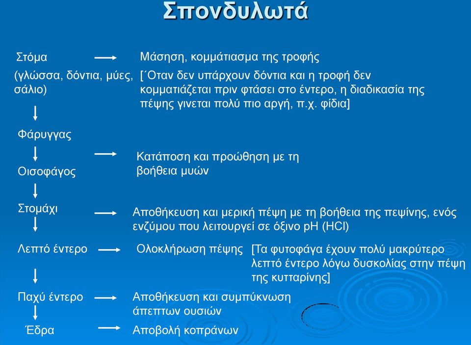 φίδια] Φάρυγγας Οισοφάγος Κατάποση και προώθηση με τη βοήθεια μυών Στομάχι Λεπτό έντερο Παχύ έντερο Έδρα Αποθήκευση και μερική πέψη με τη