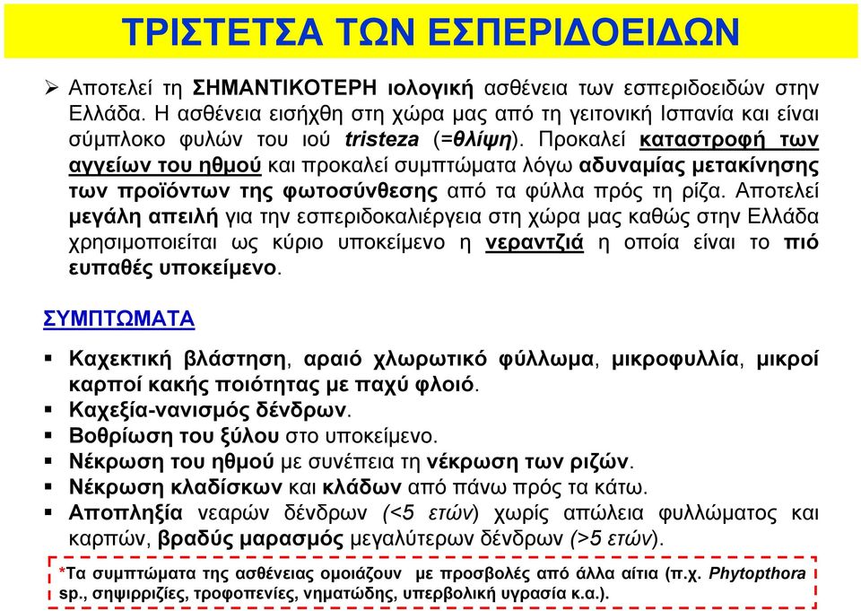 Προκαλεί καταστροφή των αγγείων του ηθμού καιπροκαλείσυμπτώματαλόγωαδυναμίας μετακίνησης των προϊόντων της φωτοσύνθεσης από τα φύλλα πρός τη ρίζα.