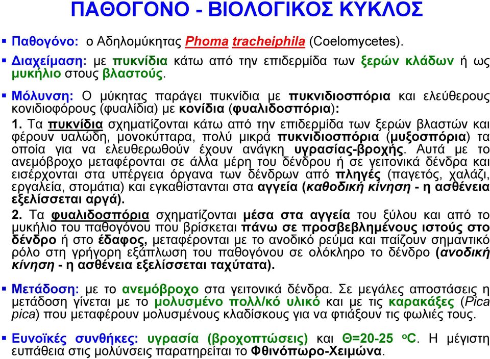 Τα πυκνίδια σχηματίζονται κάτω από την επιδερμίδα των ξερών βλαστών και φέρουν υαλώδη, μονοκύτταρα, πολύ μικρά πυκνιδιοσπόρια (μυξοσπόρια) τα οποία για να ελευθερωθούν έχουν ανάγκη υγρασίας-βροχής.