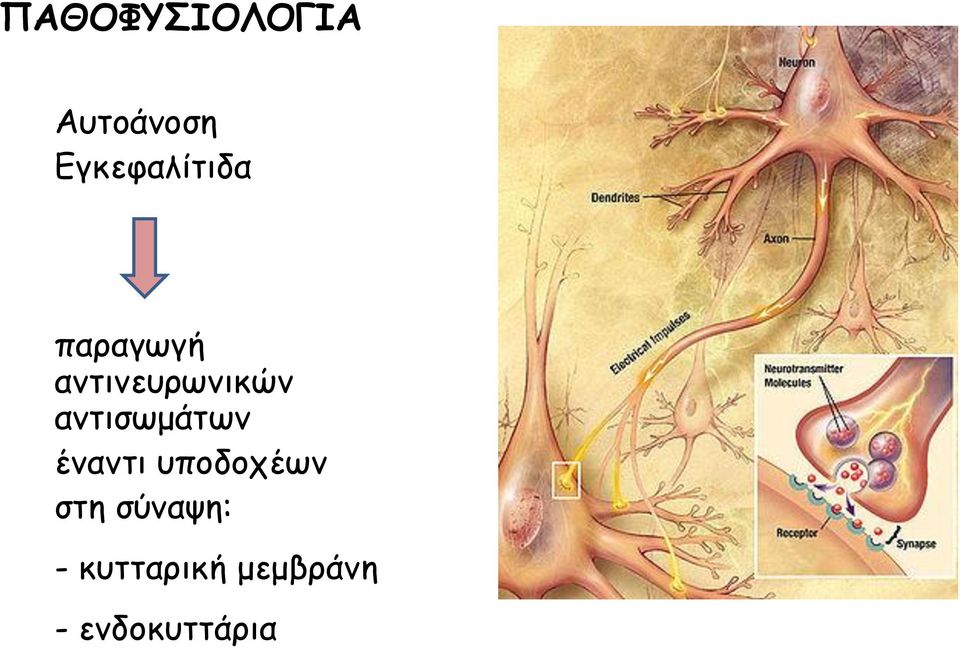 αντινευρωνικών αντισωμάτων έναντι