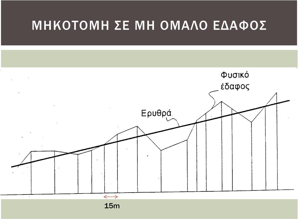 ΟΜΑΛΟ