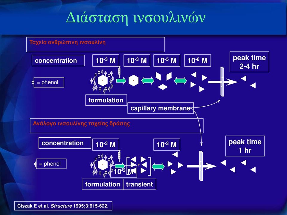 Ανάλογο ινσουλίνης ταχείας δράσης concentration 10-3 M 10-3 M peak time 1