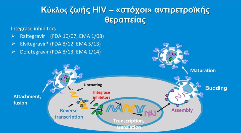 Dolutegravir (FDA 8/13, EMA 1/14) Matura[on Afachment, fusion Reverse