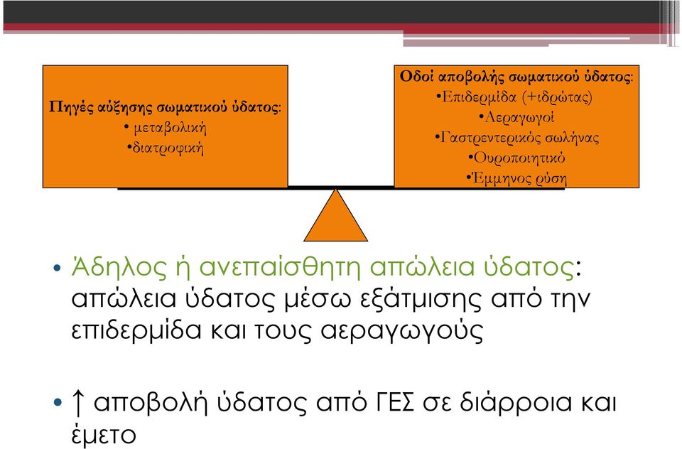 Έµµηνος ρύση Άδηλος ή ανεπαίσθητη απώλεια ύδατος: απώλεια ύδατος µέσω εξάτµισης