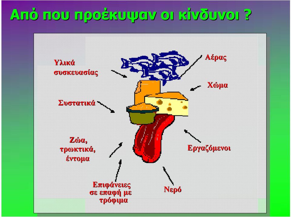 Συστατικά Ζώα, τρωκτικά, έντομα