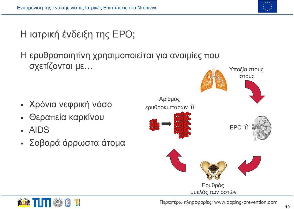 στους ιστούς Χρόνια νεφρική νόσο Θεραπεία καρκίνου AIDS