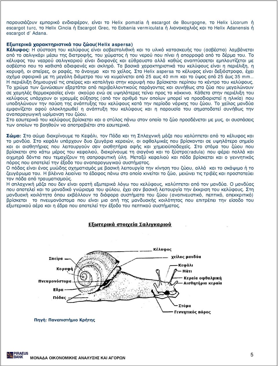 Εξωτερικά χαρακτηριστικά του ζώου(helix aspersa) Κέλυφος: Η σύσταση του κελύφους είναι ασβεστολιθική και το υλικό κατασκευής του (ασβέστιο) λαμβάνεται από το σαλιγκάρι μέσω της διατροφής, του χώματος