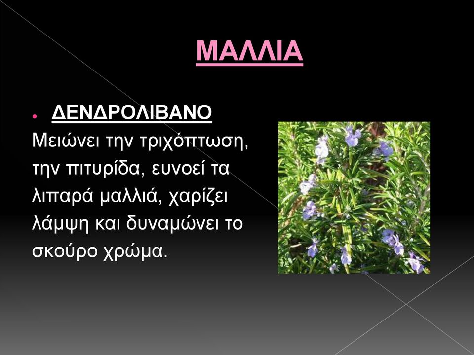 ευνοεί τα λιπαρά μαλλιά,