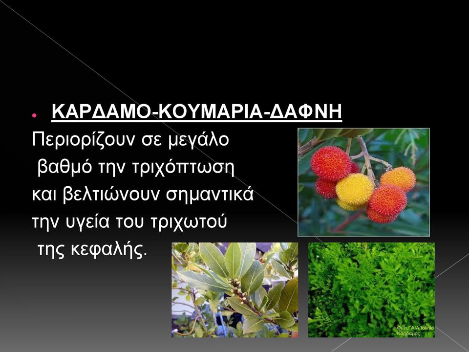 τριχόπτωση και βελτιώνουν