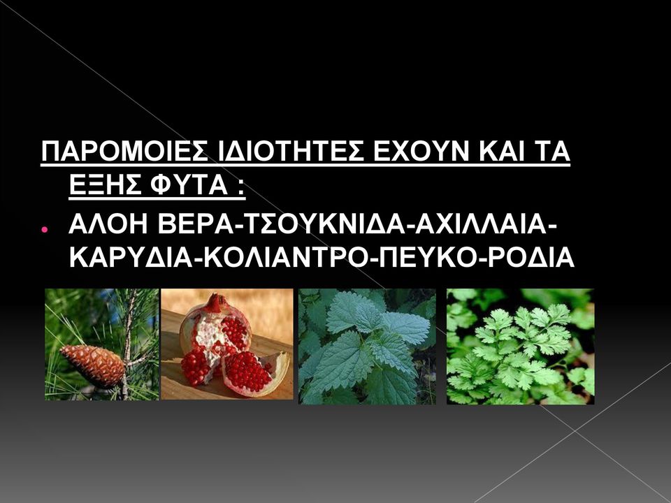 ΒΕΡΑ-ΤΣΟΥΚΝΙΔΑ-ΑΧΙΛΛΑΙΑ-