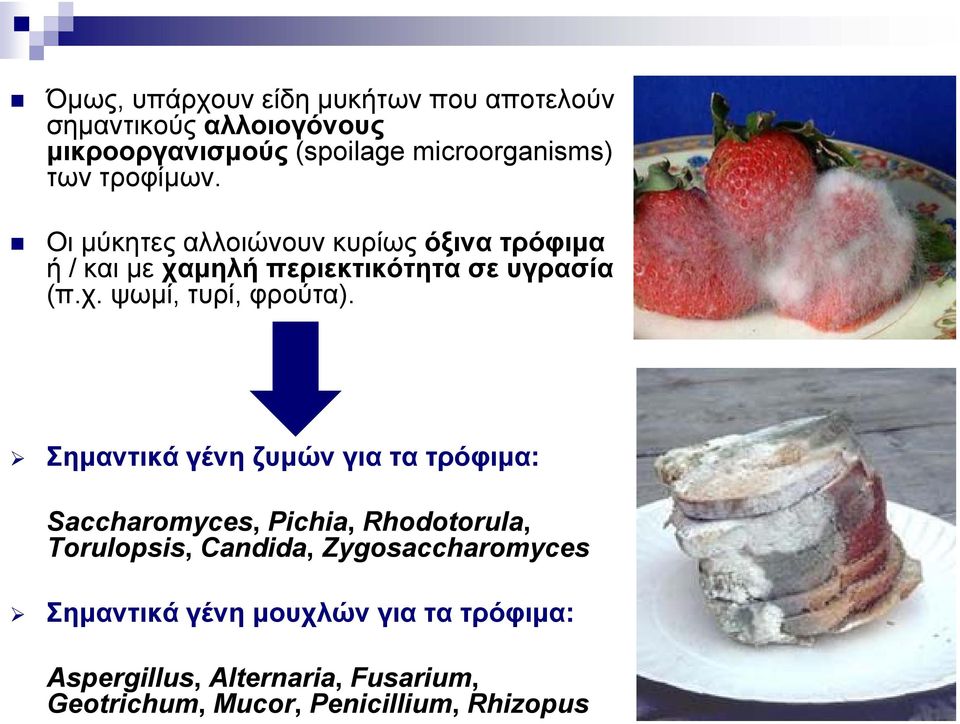 Σημαντικά γένη ζυμών για τα τρόφιμα: Saccharomyces, Pichia, Rhodotorula, Torulopsis, Candida, Zygosaccharomyces