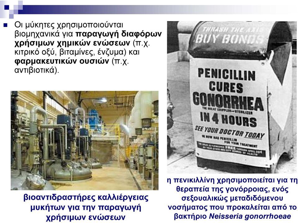 βιοαντιδραστήρες καλλιέργειας μυκήτων για την παραγωγή χρήσιμων ενώσεων η πενικιλλίνη