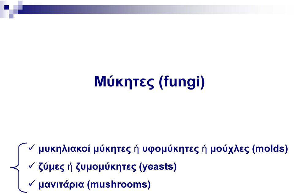 μούχλες (molds) ζύμες ή