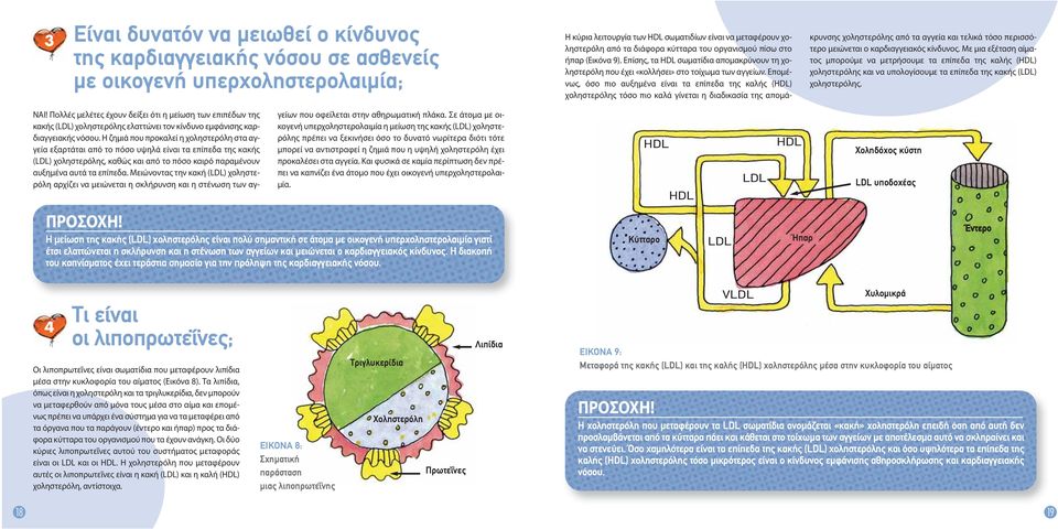 Επομένως, όσο πιο αυξημένα είναι τα επίπεδα της καλής (ΗDL) χοληστερόλης τόσο πιο καλά γίνεται η διαδικασία της απομάκρυνσης χοληστερόλης από τα αγγεία και τελικά τόσο περισσότερο μειώνεται ο