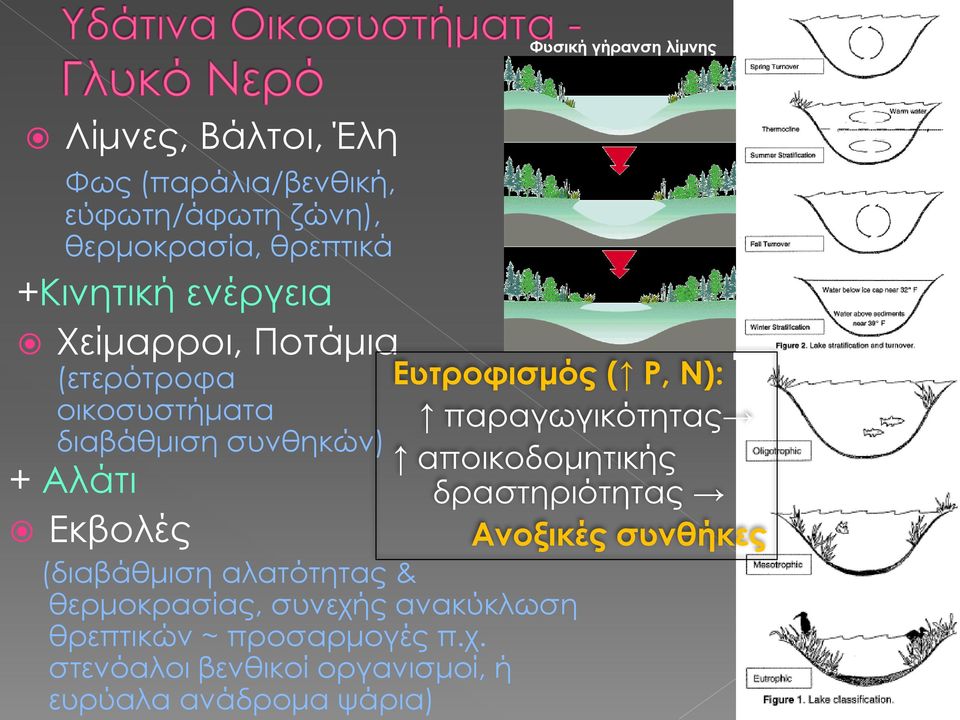 παραγωγικότητας αποικοδομητικής δραστηριότητας Ανοξικές συνθήκες + Αλάτι Εκβολές (διαβάθμιση αλατότητας &