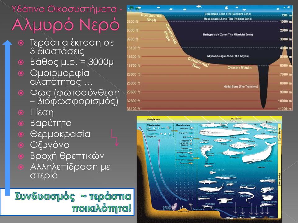 (φωτοσύνθεση βιοφωσφορισμός) Πίεση Βαρύτητα