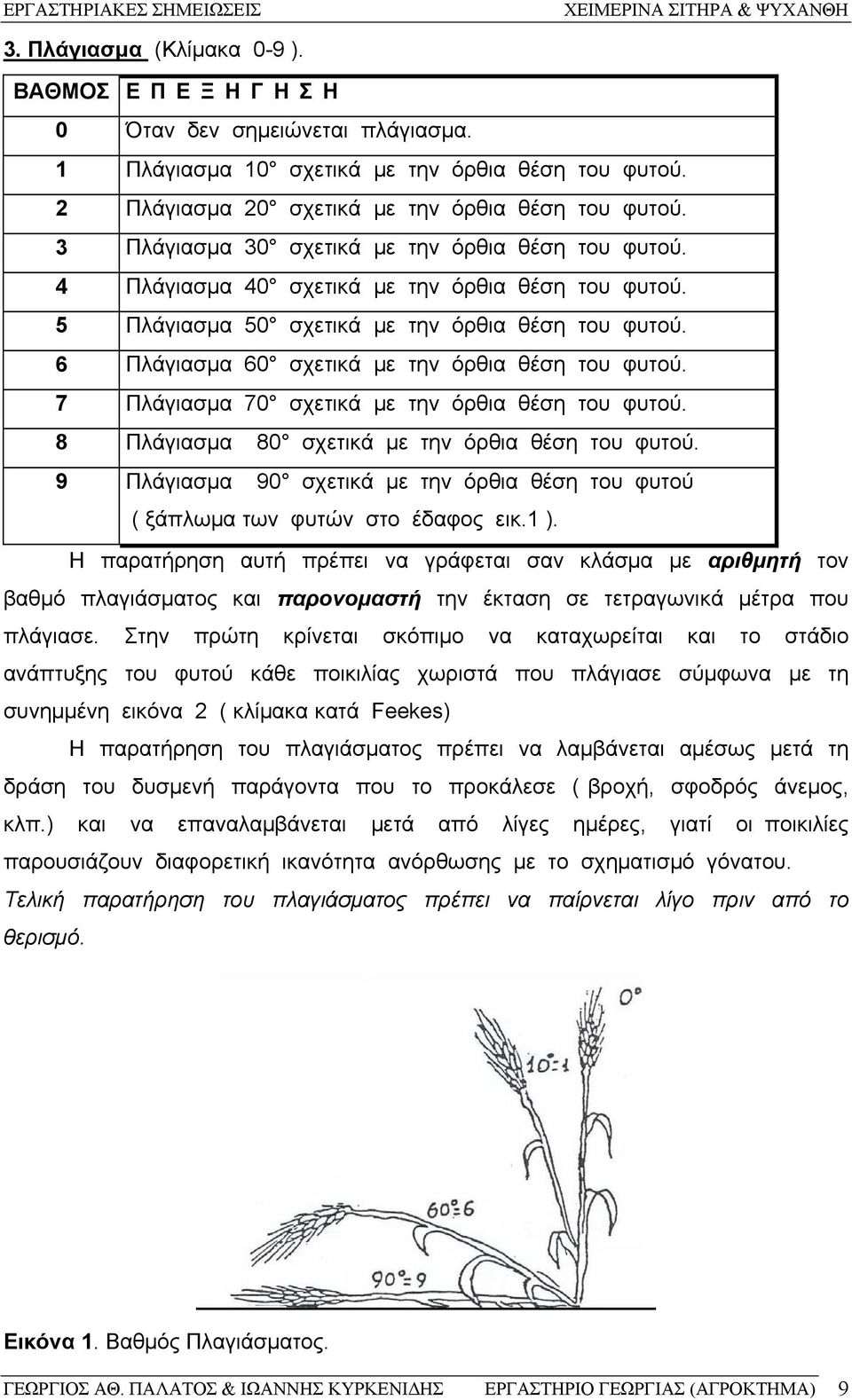 6 Πλάγιασμα 60 σχετικά με την όρθια θέση του φυτού. 7 Πλάγιασμα 70 σχετικά με την όρθια θέση του φυτού. 8 Πλάγιασμα 80 σχετικά με την όρθια θέση του φυτού.