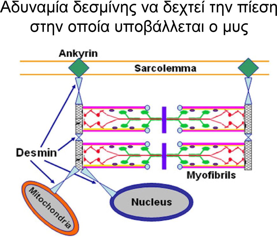 δεχτεί την πίεση