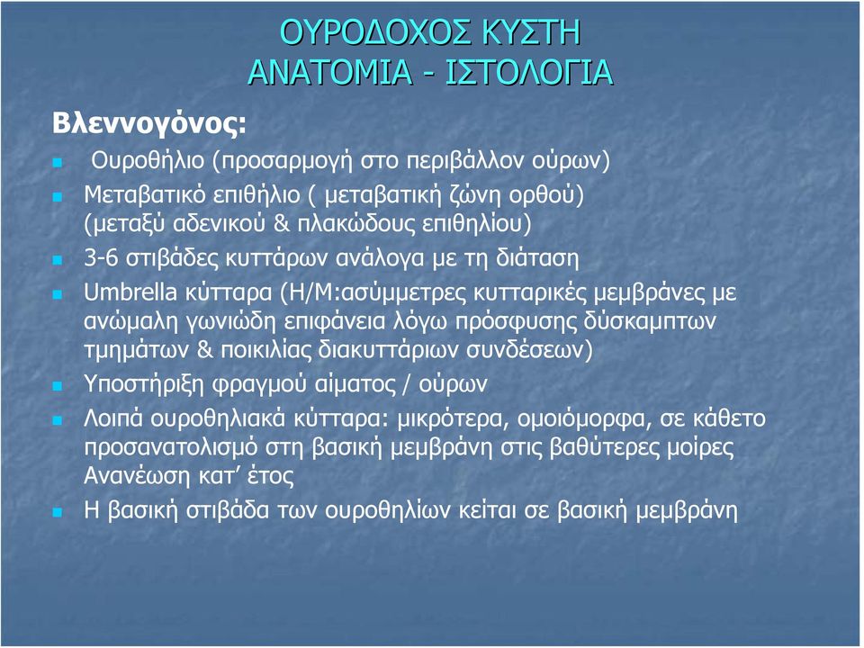 επιφάνεια λόγω πρόσφυσης δύσκαμπτων τμημάτων & ποικιλίας διακυττάριων συνδέσεων) Υποστήριξη φραγμού αίματος / ούρων Λοιπά ουροθηλιακά κύτταρα: