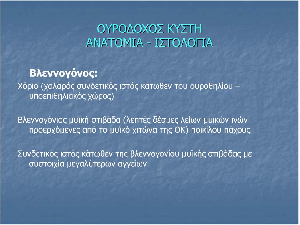 δέσμες λείων μυικών ινών προερχόμενες από το μυϊκό χιτώνα της ΟΚ) ποικίλου πάχους