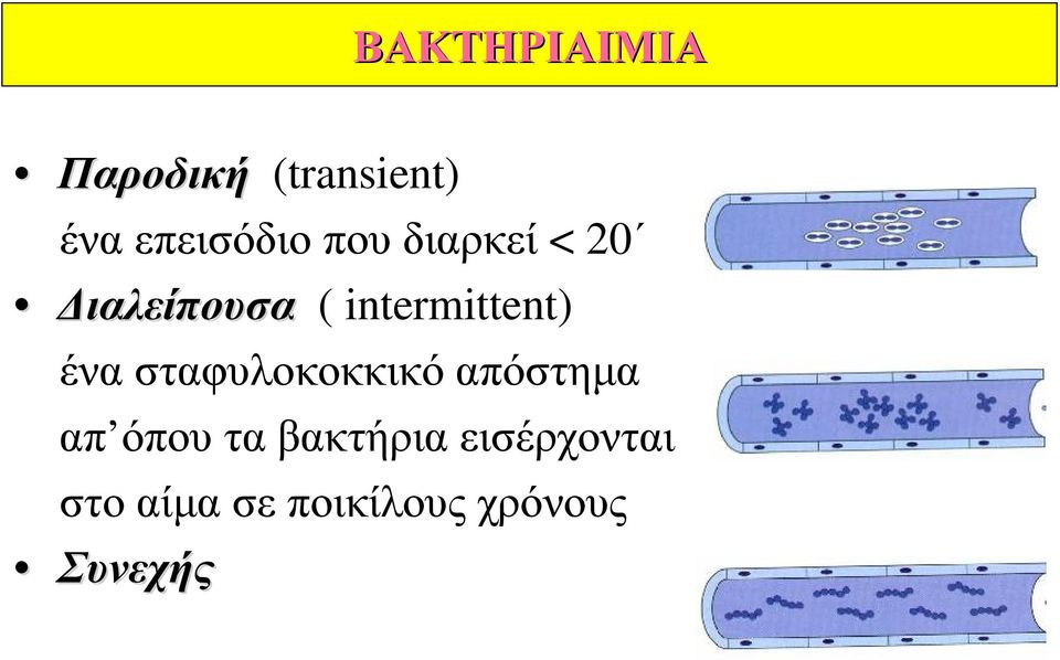ένα σταφυλοκοκκικό απόστημα απ όπου τα βακτήρια