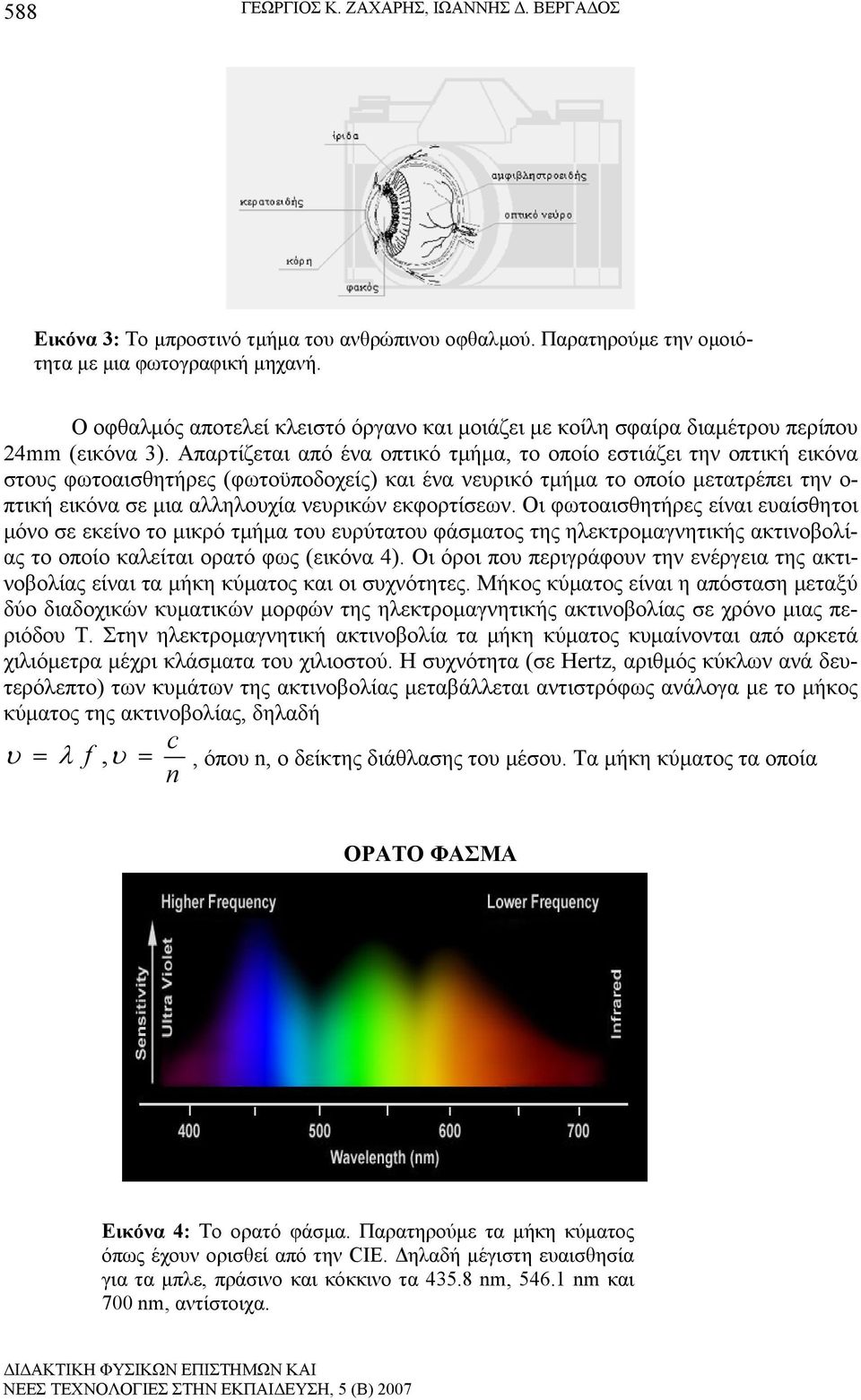 Απαρτίζεται από ένα οπτικό τμήμα, το οποίο εστιάζει την οπτική εικόνα στους φωτοαισθητήρες (φωτοϋποδοχείς) και ένα νευρικό τμήμα το οποίο μετατρέπει την ο- πτική εικόνα σε μια αλληλουχία νευρικών