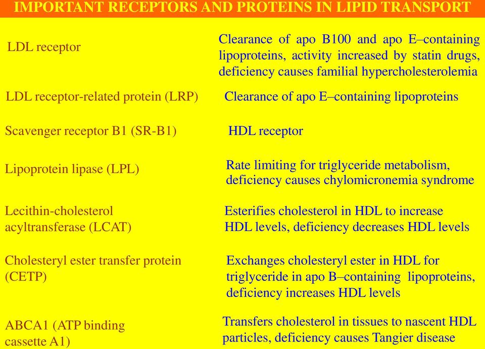 hypercholesterolemia Clearance of apo E containing lipoproteins HDL receptor Rate limiting for triglyceride metabolism, deficiency causes chylomicronemia syndrome Esterifies cholesterol in HDL to