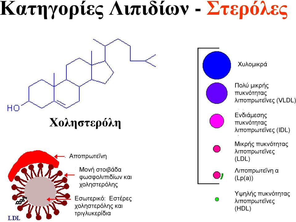 Εστέρες χοληστερόλης και τριγλυκερίδια Ενδιάμεσης πυκνότητας λιποπρωτεΐνες (ΙDL)