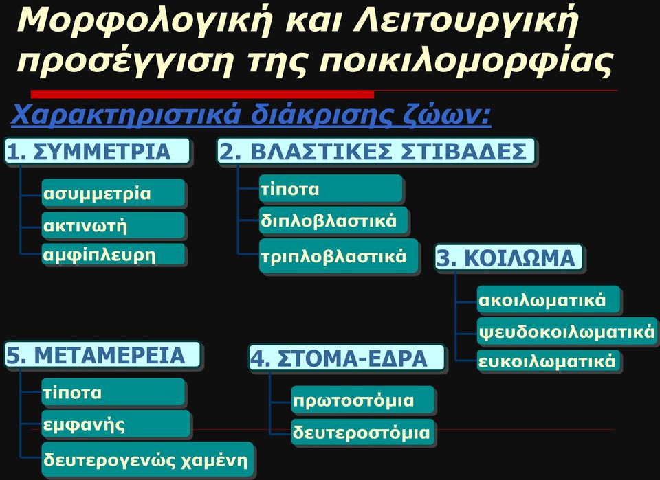 ΜΕΤΑΜΕΡΕΙΑ τίποτα διπλοβλαστικά τριπλοβλαστικά 4. ΣΤΟΜΑ-ΕΔΡΑ 3.