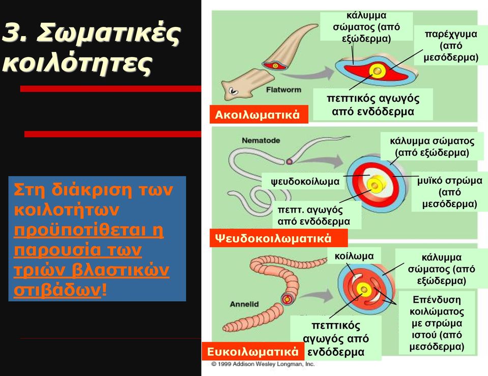 στιβάδων! ψευδοκοίλωμα πεπτ.