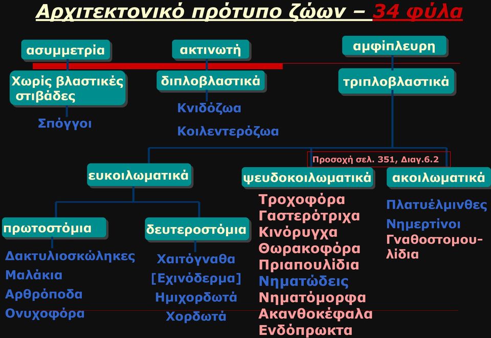 δευτεροστόμια Χαιτόγναθα [Εχινόδερμα] Ημιχορδωτά Χορδωτά ψευδοκοιλωματικά Προσοχή σελ. 351, Διαγ.6.