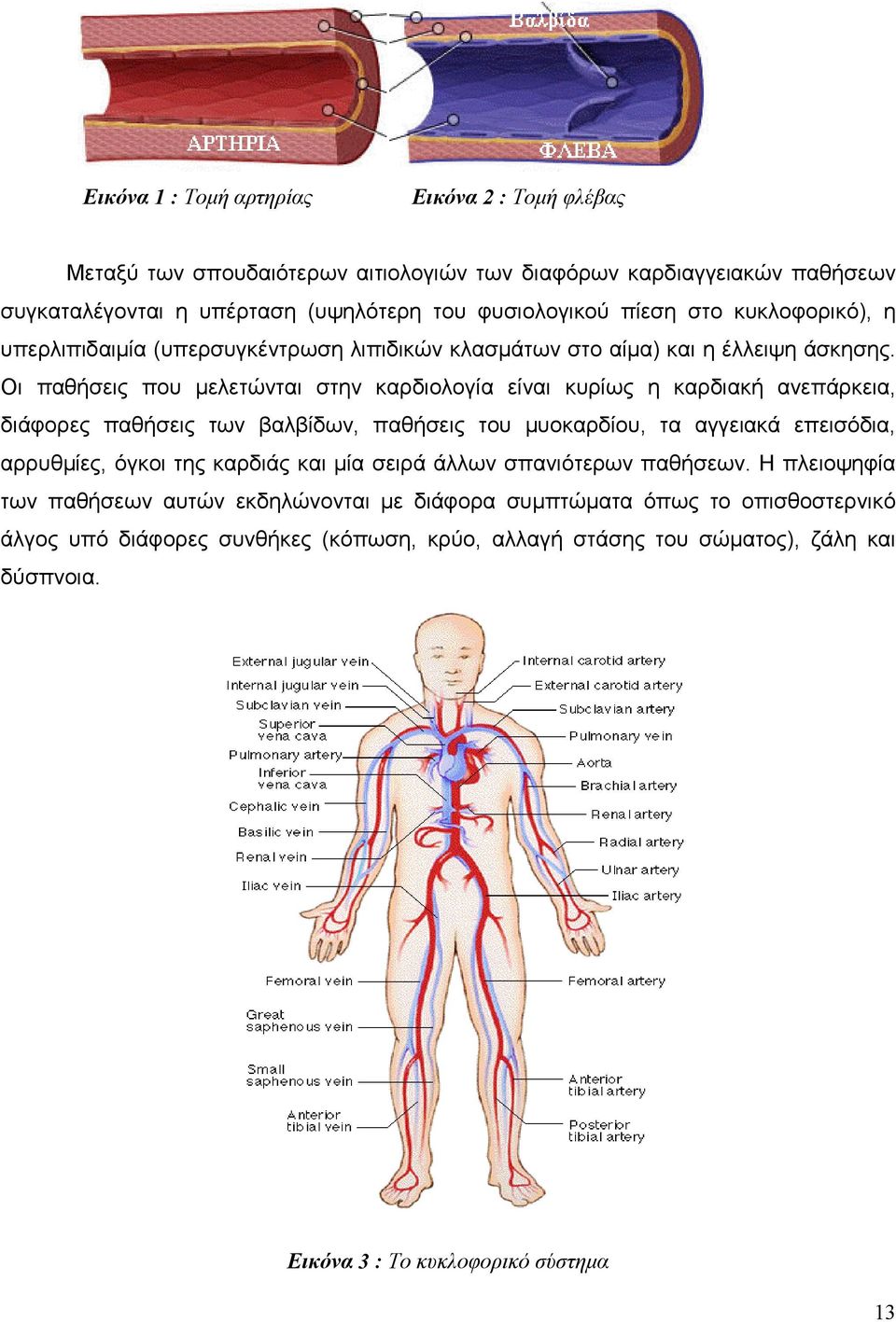 Οι παθήσεις που µελετώνται στην καρδιολογία είναι κυρίως η καρδιακή ανεπάρκεια, διάφορες παθήσεις των βαλβίδων, παθήσεις του µυοκαρδίου, τα αγγειακά επεισόδια, αρρυθµίες, όγκοι της