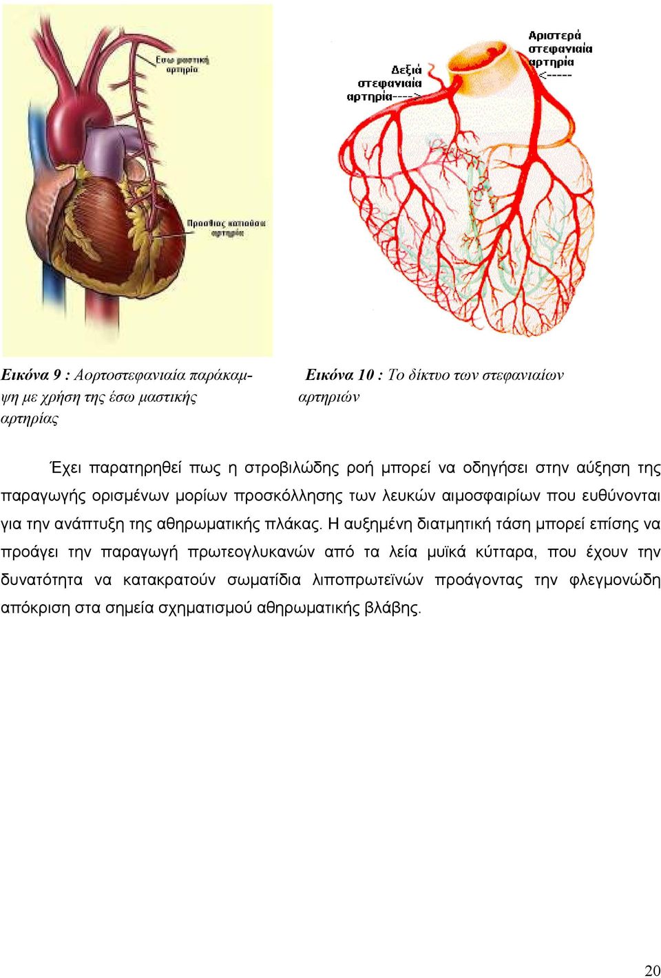 ανάπτυξη της αθηρωµατικής πλάκας.