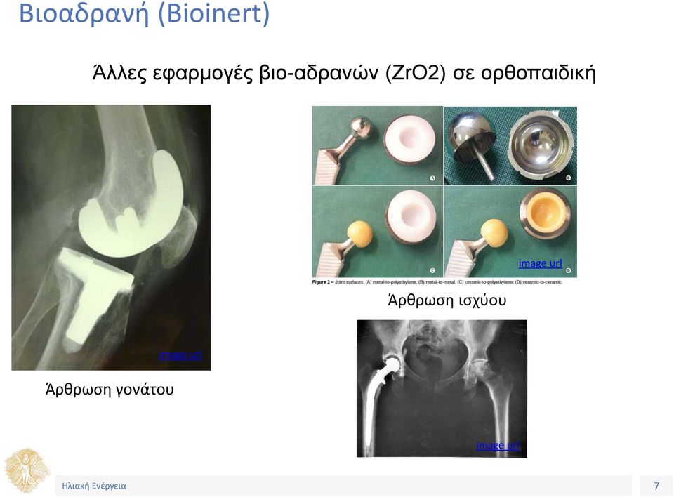 ορθοπαιδική image url Άρθρωση