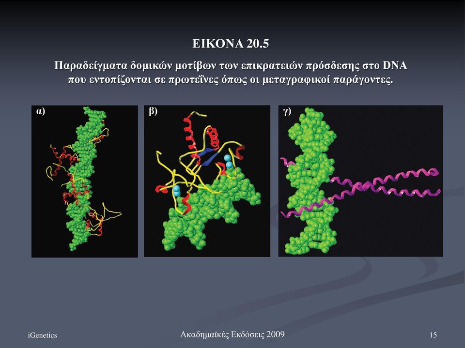 πρόσδεσης στο DNA που εντοπίζονται σε