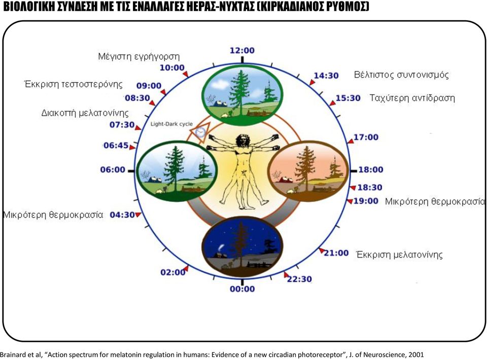 spectrum for melatonin regulation in humans: