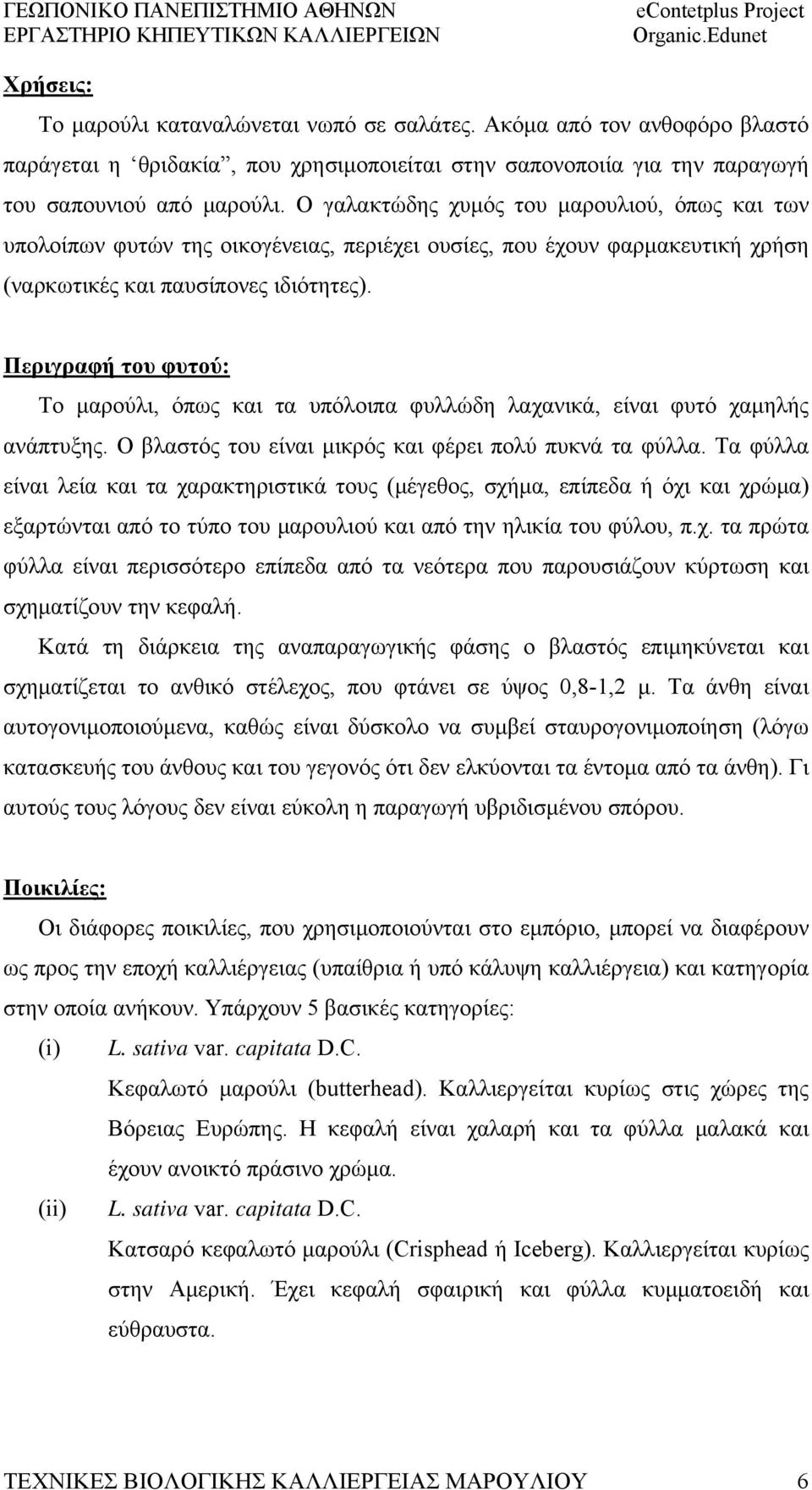 Περιγραφή του φυτού: Το μαρούλι, όπως και τα υπόλοιπα φυλλώδη λαχανικά, είναι φυτό χαμηλής ανάπτυξης. Ο βλαστός του είναι μικρός και φέρει πολύ πυκνά τα φύλλα.