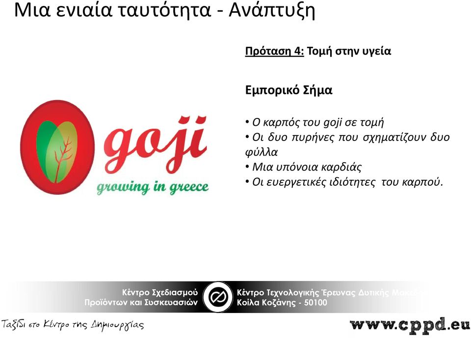 Οι δυο πυρήνες που σχηματίζουν δυο φύλλα Μια
