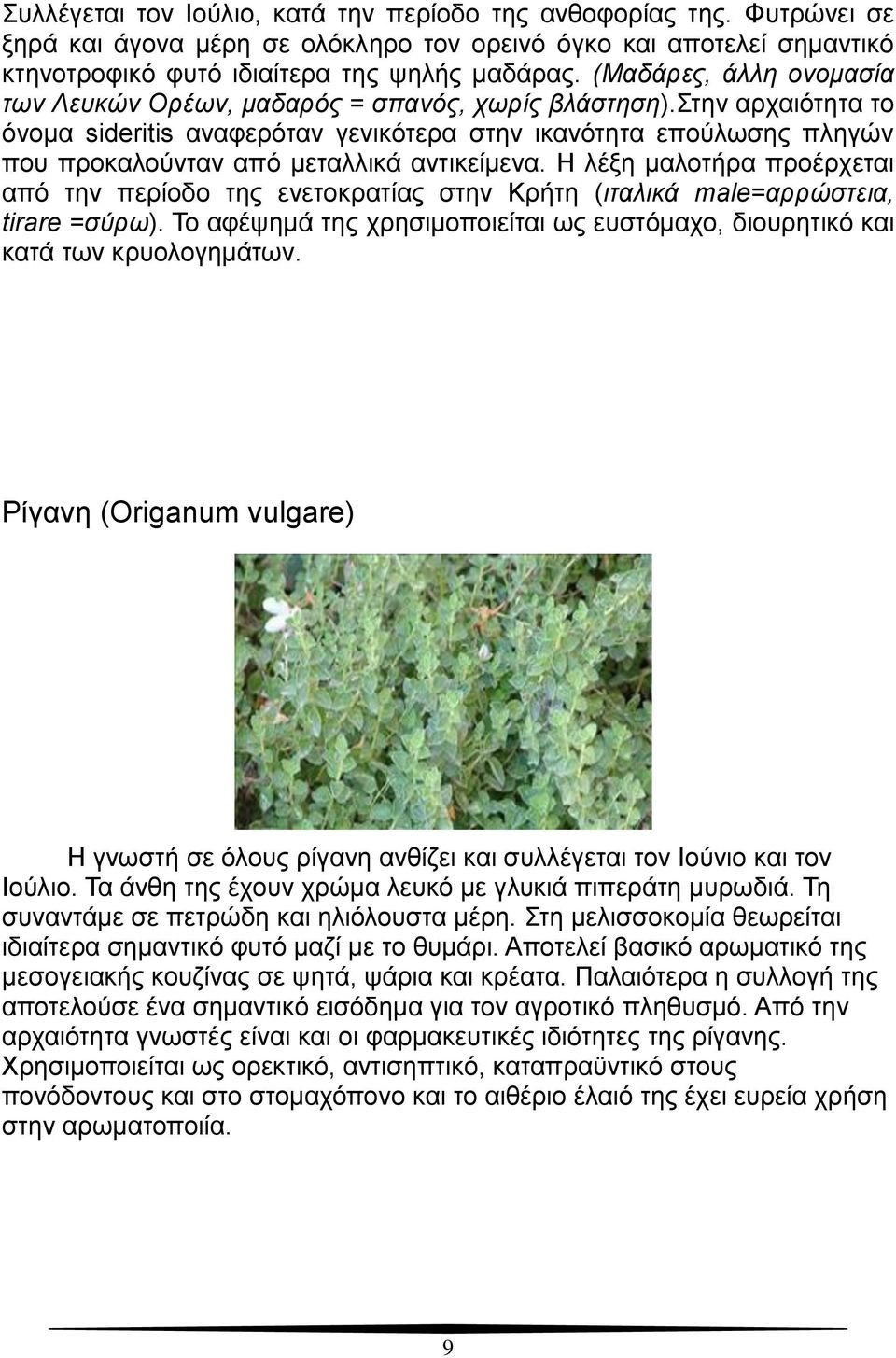 στην αρχαιότητα το όνομα sideritis αναφερόταν γενικότερα στην ικανότητα επούλωσης πληγών που προκαλούνταν από μεταλλικά αντικείμενα.