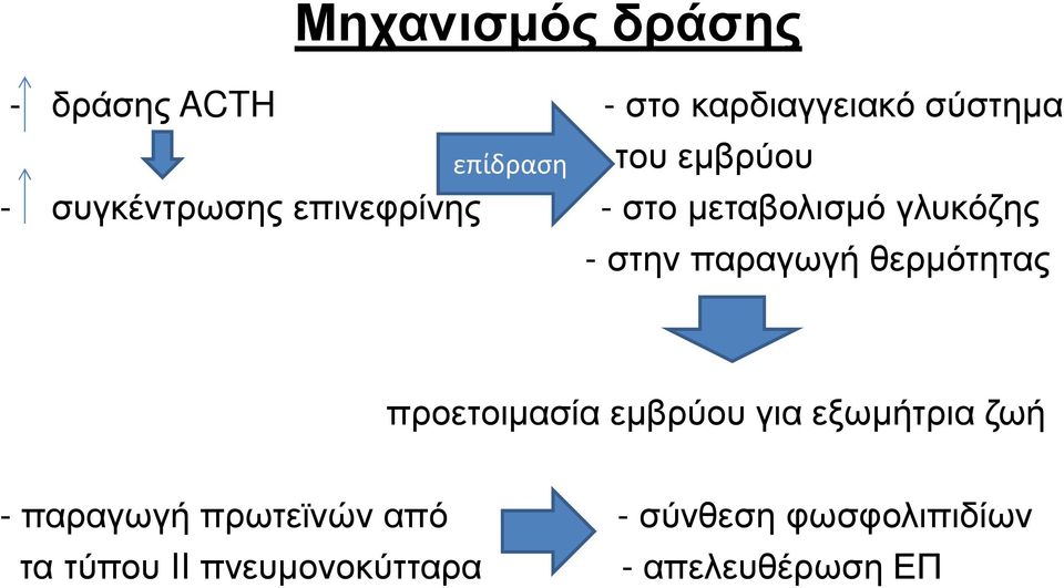 παραγωγή θερµότητας προετοιµασία εµβρύου για εξωµήτρια ζωή - παραγωγή