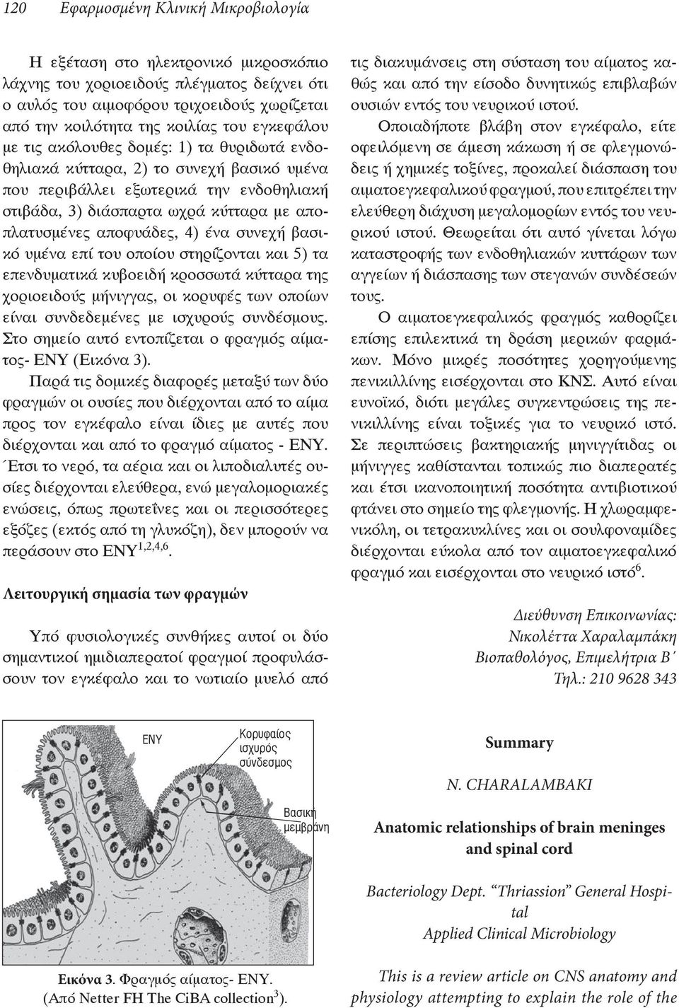 CHARALAMBAKI Anatomic relationships of brain meninges and spinal cord Bacteriology Dept.