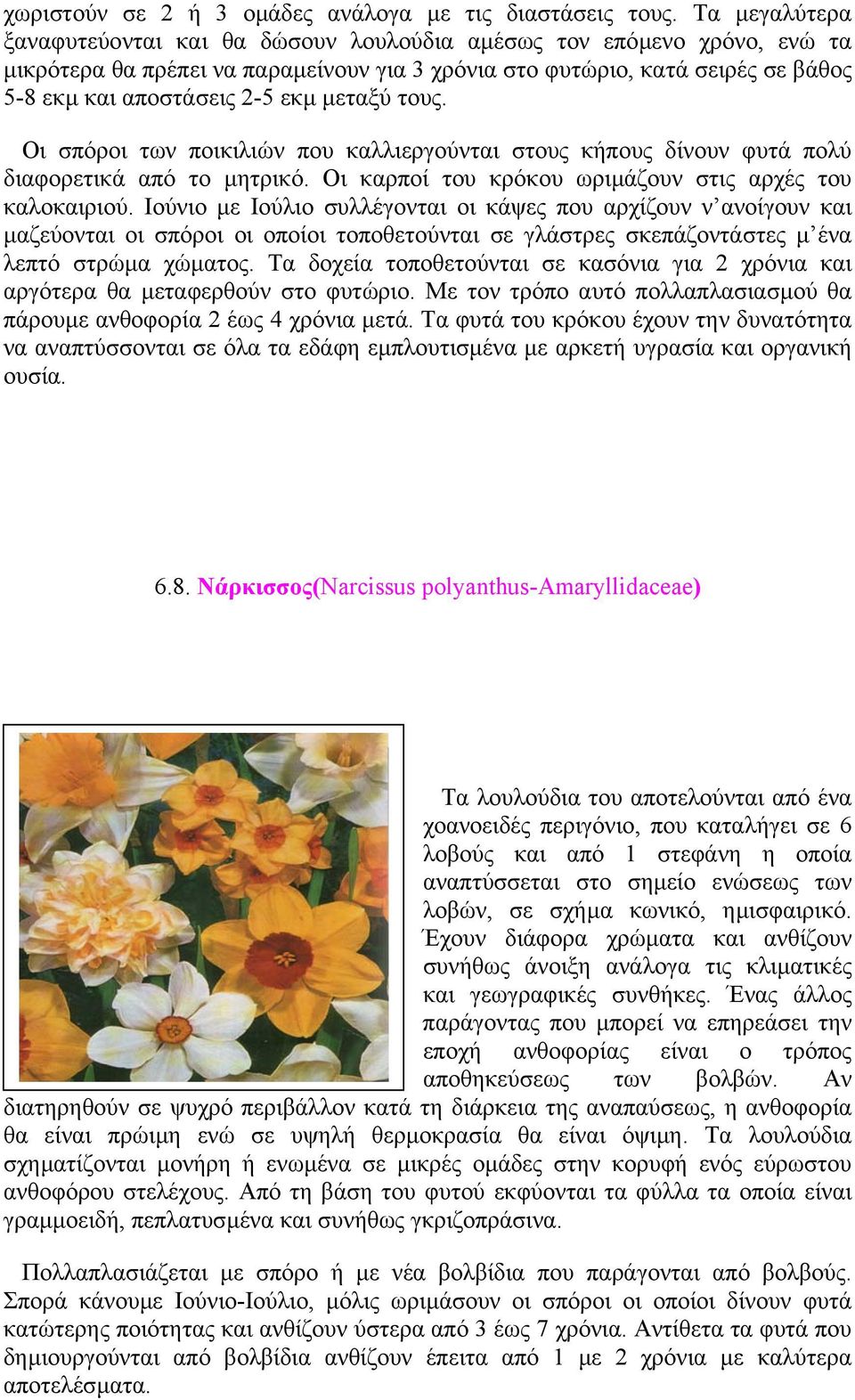 µεταξύ τους. Οι σπόροι των ποικιλιών που καλλιεργούνται στους κήπους δίνουν φυτά πολύ διαφορετικά από το µητρικό. Οι καρποί του κρόκου ωριµάζουν στις αρχές του καλοκαιριού.