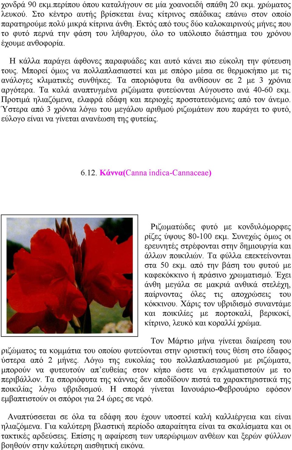 Η κάλλα παράγει άφθονες παραφυάδες και αυτό κάνει πιο εύκολη την φύτευση τους. Μπορεί όµως να πολλαπλασιαστεί και µε σπόρο µέσα σε θερµοκήπιο µε τις ανάλογες κλιµατικές συνθήκες.