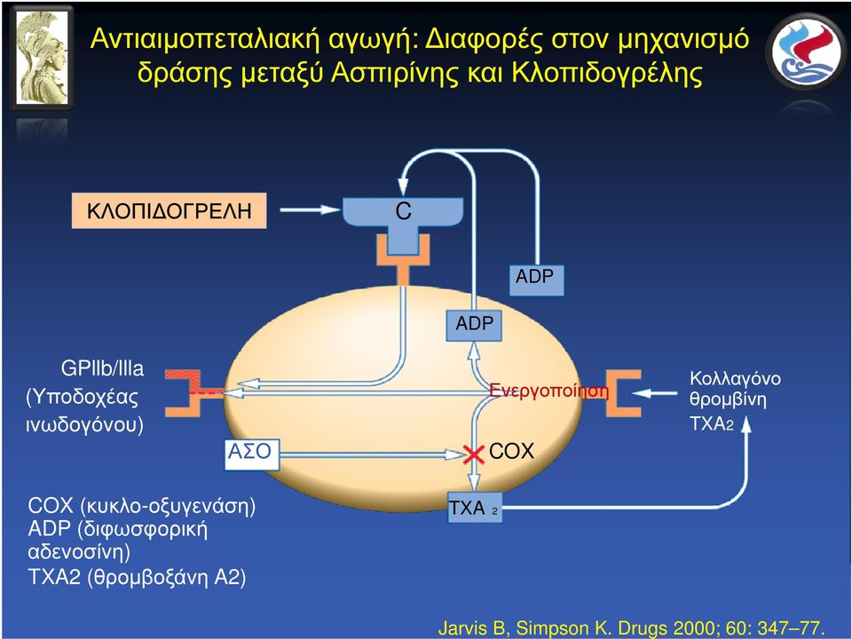 Ενεργοποίηση COX Κολλαγόνο θροµβίνη TXA2 COX (κυκλο-οξυγενάση) ADP