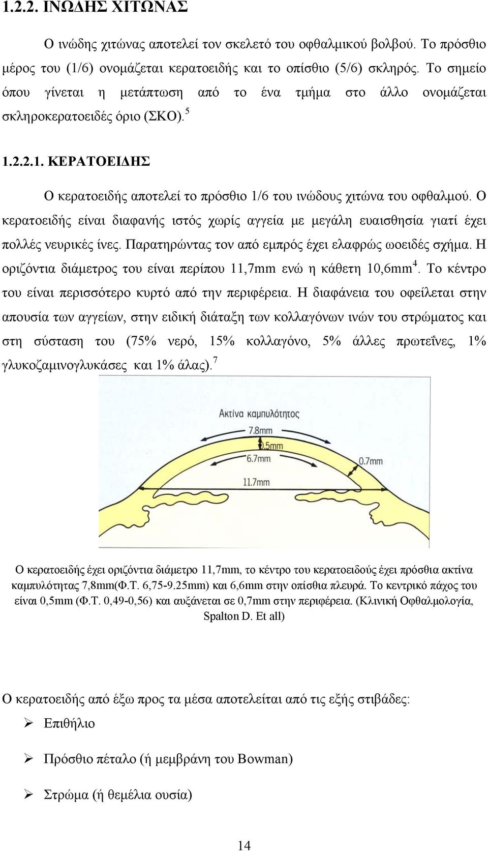 Ο κερατοειδής είναι διαφανής ιστός χωρίς αγγεία με μεγάλη ευαισθησία γιατί έχει πολλές νευρικές ίνες. Παρατηρώντας τον από εμπρός έχει ελαφρώς ωοειδές σχήμα.