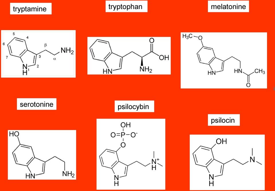 melatonine