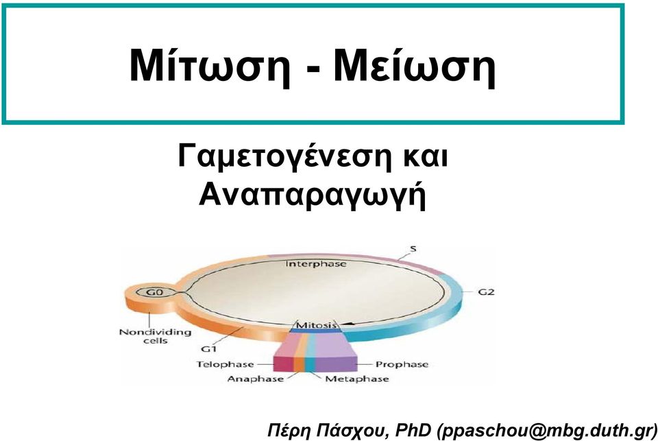 Αναπαραγωγή Πέρη