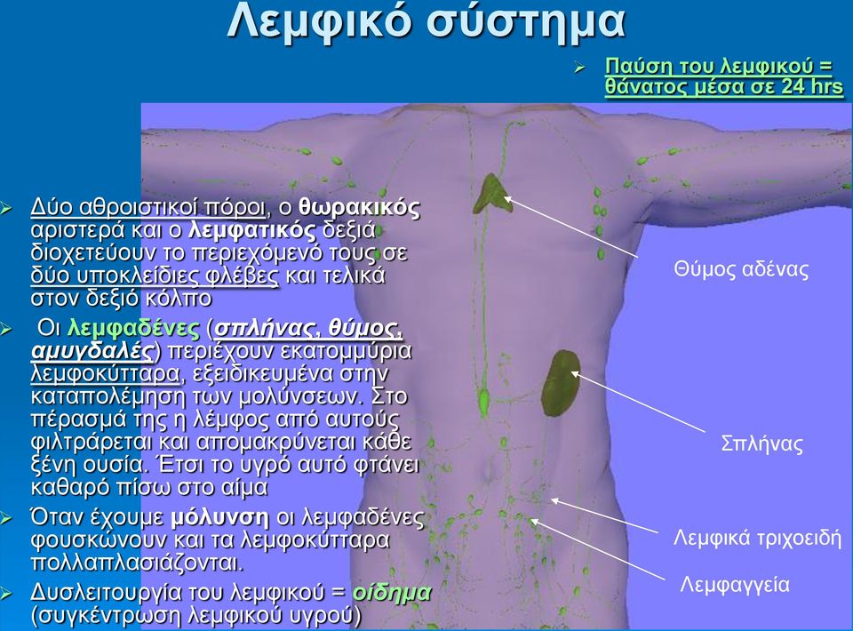 μολύνσεων. Στο πέρασμά της η λέμφος από αυτούς φιλτράρεται και απομακρύνεται κάθε ξένη ουσία.